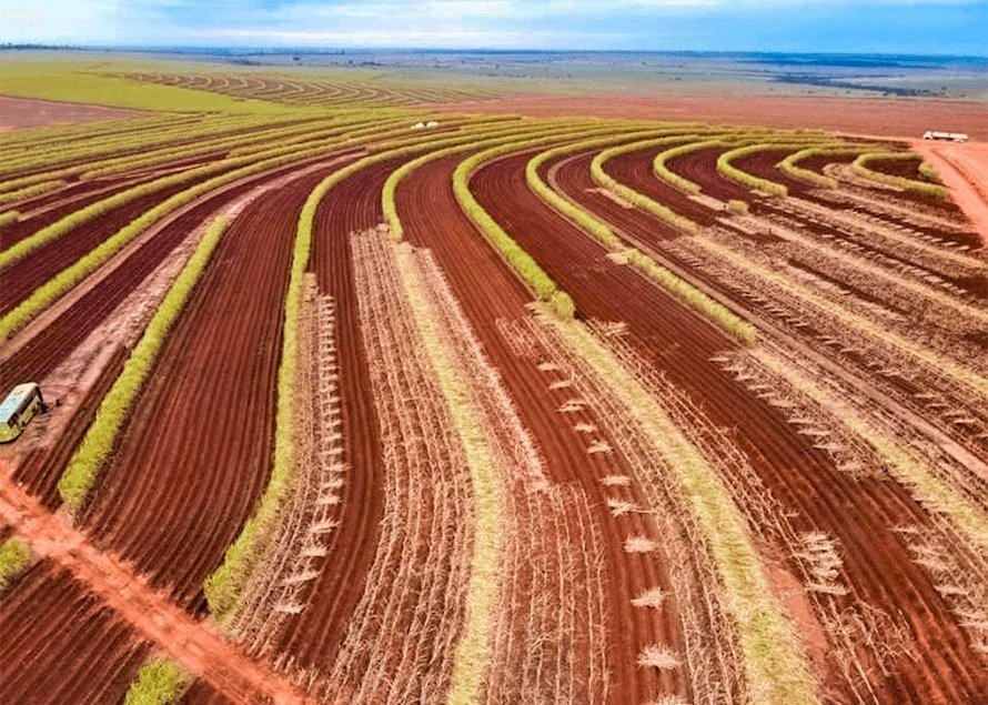 POR QUE FAZER A PULVERIZAÇÃO <em>DE MEIOSI COM A AGROAZUL?</em>