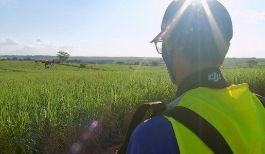 Uso de drones é cada vez mais comum no agronegócio